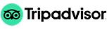 Frame 1000003982